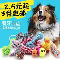 Dog vocal toy Teddy Golden Hair Pet Cotton Rope Toy Ball Screaming Chicken Puppies Grinding Pet Supplies