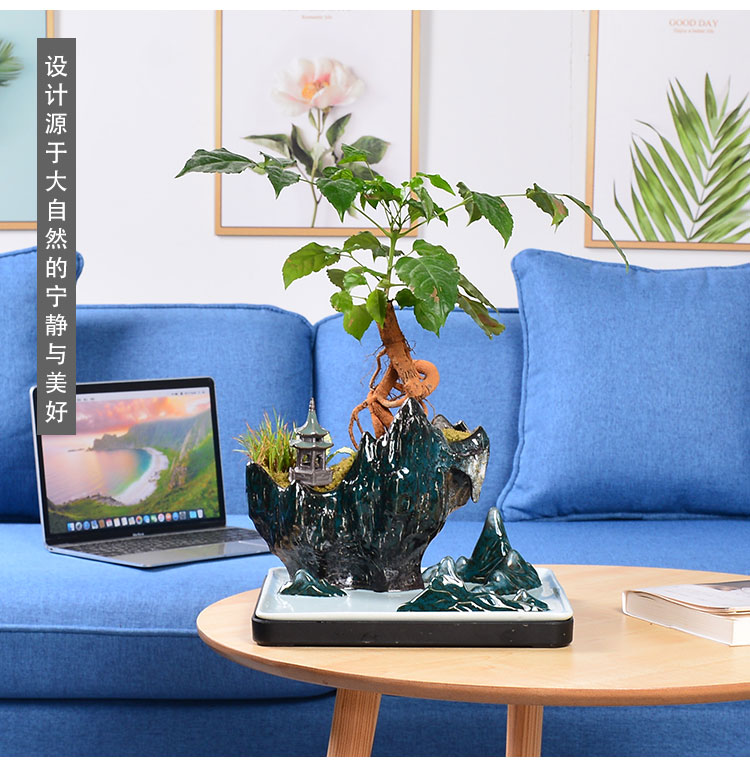 New Chinese style household furnishing articles combination bonsai rockery green plant large fleshy money plant bracketplant flowerpot ceramic landscape basin