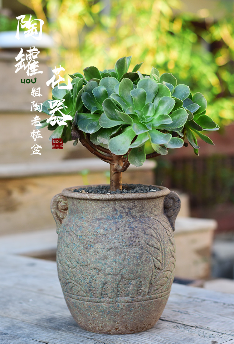 Creative basin large fleshy flowerpot mage old running high Creative meat meat the plants green plant POTS coarse pottery basin of breathable