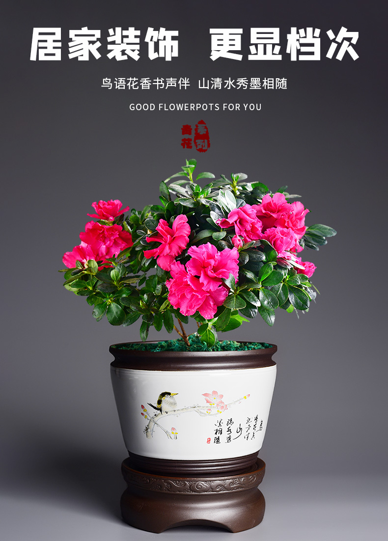 Lazy flowerpot automatic suction ceramic flower pot home of blue and white porcelain pot other special butterfly orchid orchid pot