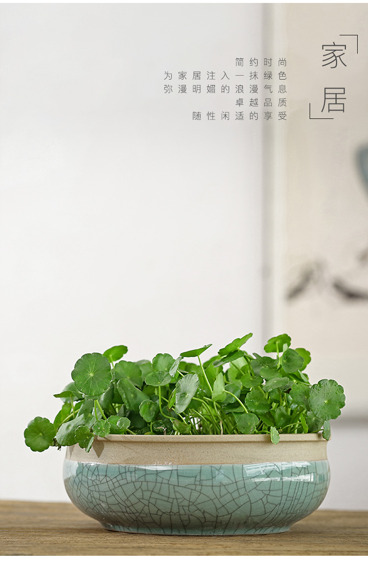 Hydroponic flower pot grass cooper creative nonporous vessel refers to basin bowl lotus household ceramics basin water lily large clearance