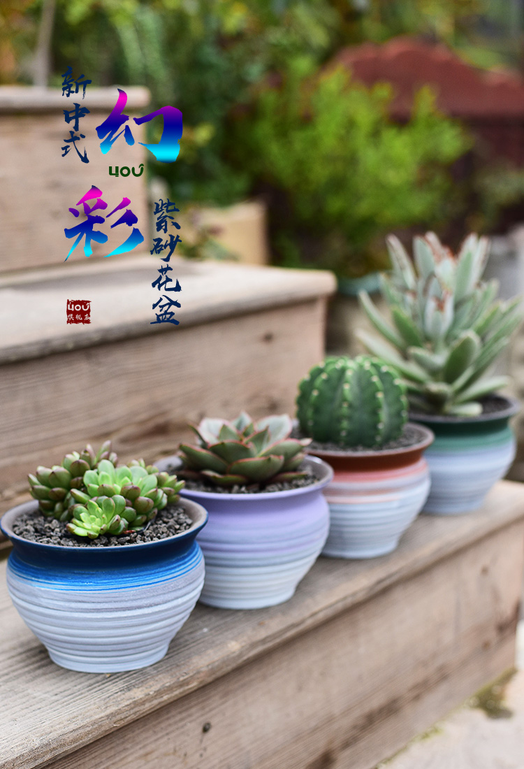 New Chinese style brilliantly coloured purple sand flowerpot more meat ceramic contracted household meat meat plant POTS, green plant, small potted creative