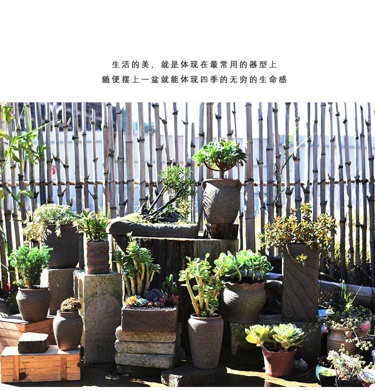 Complex ancient running the basin fleshy mage ceramic coarse pottery flowerpot breathable tall fleshy plant creative household balcony