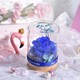 Preserved flower Mother's Day gift for mother team building handmade diy material package gift gift rose glass cover ornaments