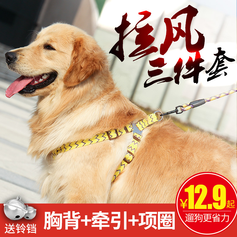 Dog chain more than a bear small dog teddy gold mahosc large canine dog towing rope dog rope Item ring tethered dog rope
