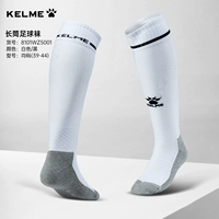 Белый и черный код 39-44 [Новая полоса Новая] 8101WZ5001