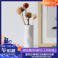 Hong Yue Bỉ Nhập D & M Un 7 Series Hoa khô được thiết kế hoàn toàn Bình cắm - Vase / Bồn hoa & Kệ chậu nhựa dài