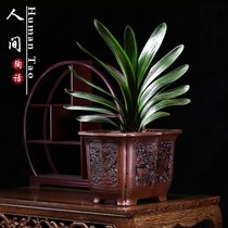 Large flower pot Ceramic purple sand square small pot Ceramic bonsai clivia tray Oversized bamboo hexagon