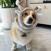 Серый улитка