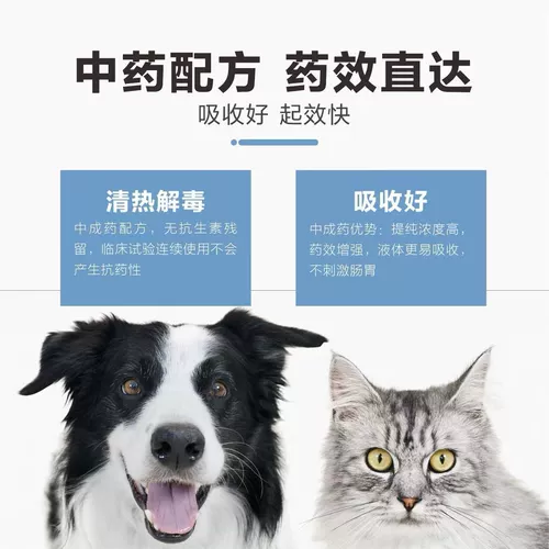 Подлинная собачья одноэпидемия | двойной удаление кошачьего и собачьего антивирусного кашля кашель кашля