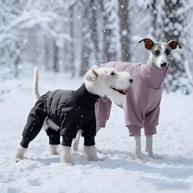 Best Dog Pet Dog Warm Cotton Clothing for Small and Medium-Sized Dogs Teddy Bichon Shiba Inu Autumn and Winter Thickened Four-Legged Clothing