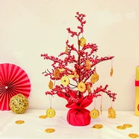 50 -сантиметровое денежное дерево