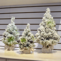 Falling Cedar fruit small Christmas tree Christmas decorations store counter desktop ornaments DIY handmade snow pine tree