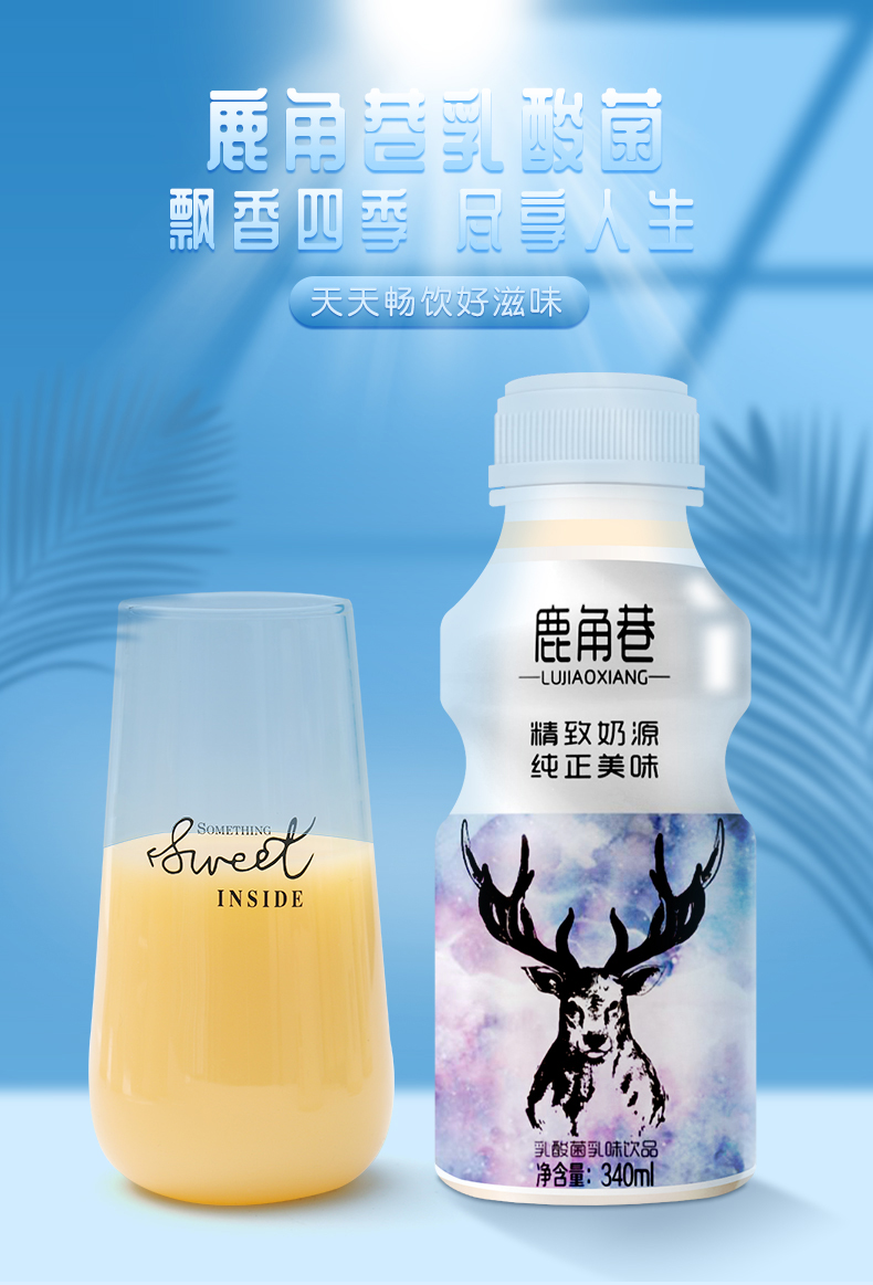 鹿角巷 乳酸菌饮品 风味早餐牛奶 340ml*12瓶 图1