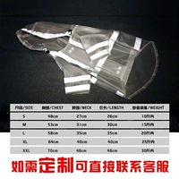 Прозрачный два -легливый