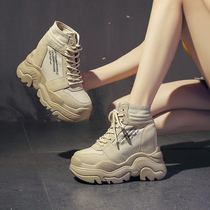 2021 Autumn New 12cm Inner height womens shoes thick soled high heel Martin boots womens wild short short boots women