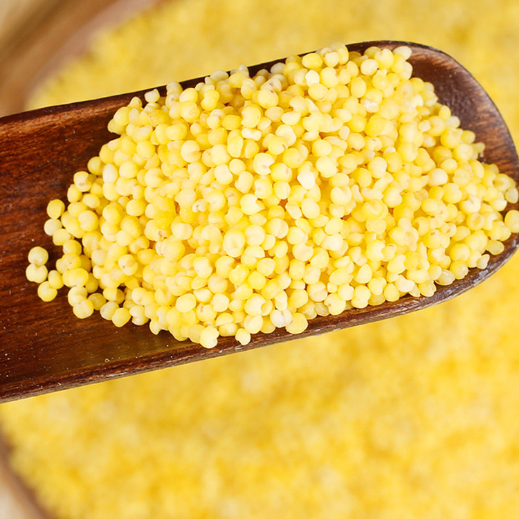 Northeast Longjiang HuangXiaomi Red Valley Fresh Five Gu Cereals Farma Grain Rice Porridge Rice Porridge 5 Jin