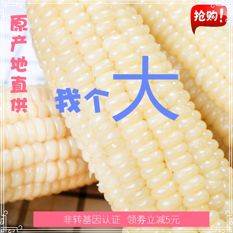 2021 Fresh Northeast glutinous rice corn 210g-300g*10 sticks vacuum non-genetically modified sticky sweet corn instant food