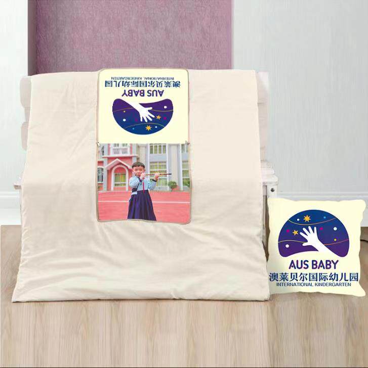 顺柔商务枕优品