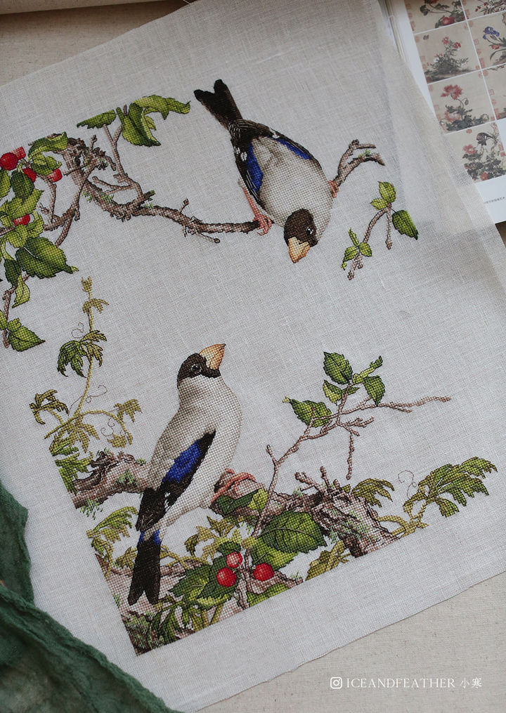 Berry Orange Love Embroidered self-fit DMC cross embroidered kit imported drawings Lang Shining Flower Bird