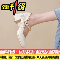 Бежевый, модернизированная версия