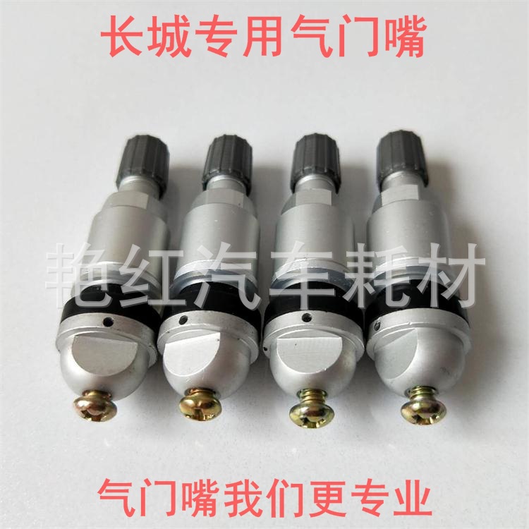 Great Wall Haver H6 H5 C50 tire pressure sensor monitoring TPMS special valve tire valve aluminum alloy