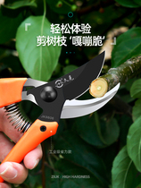 Pruning pruning gardening scissors Twigs Fruit trees Garden trimming tools Household orchard scissors Labor-saving heavy thick branches