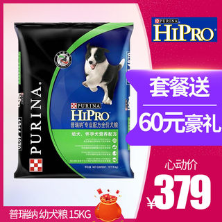 shiba inu purina