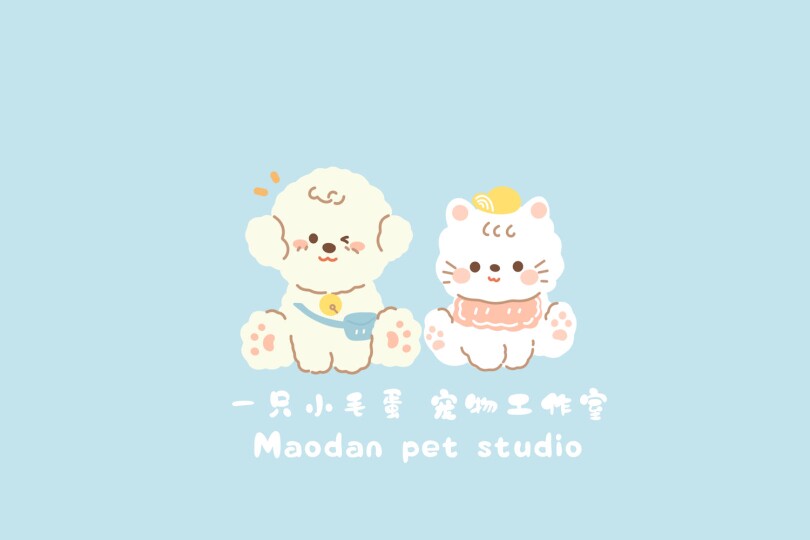 一只小毛蛋 Maodan pet studio