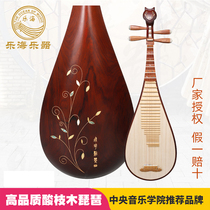 Lehai Pipa Austrian-style coronava flying point Cui carving professional piano adult teaching examination General Instrument