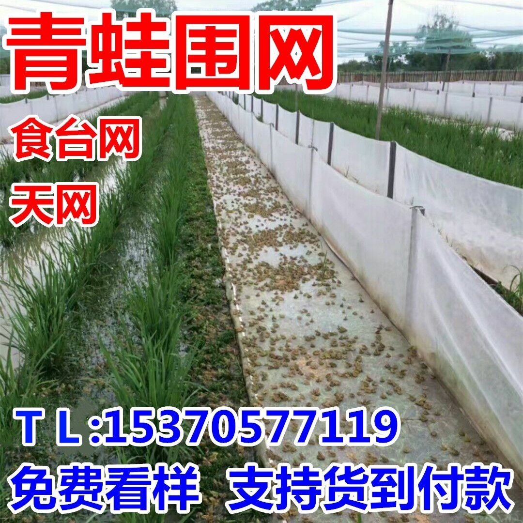 Frog seine breeding frog special food table net material table 60 mesh bullfrog anti-escape net aquatic products 40 mesh frog cage
