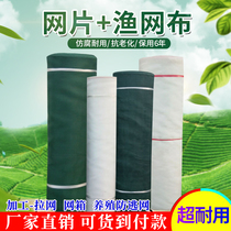 Fishing Nets Mesh Sheet Mesh Cloth Fish Mesh Sheet Fishing Nets Nylon Dense Nets Fish Pond Protection Slopes Nets Breeding Anti-Escape Nets Fence Nets Blocking Nets