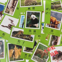 Promotion of childrens early education to know animals pictures color Primary School kindergarten teachers teaching aids cards