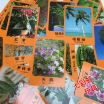 Promotion kindergarten early education plant flower card teaching supplies blackboard recognition card with map literacy magnetic card