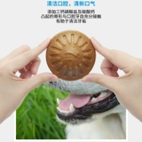 Starmark Starry Big Mogo Big Dog Dog Global Dog Dog Dog Dog Toy