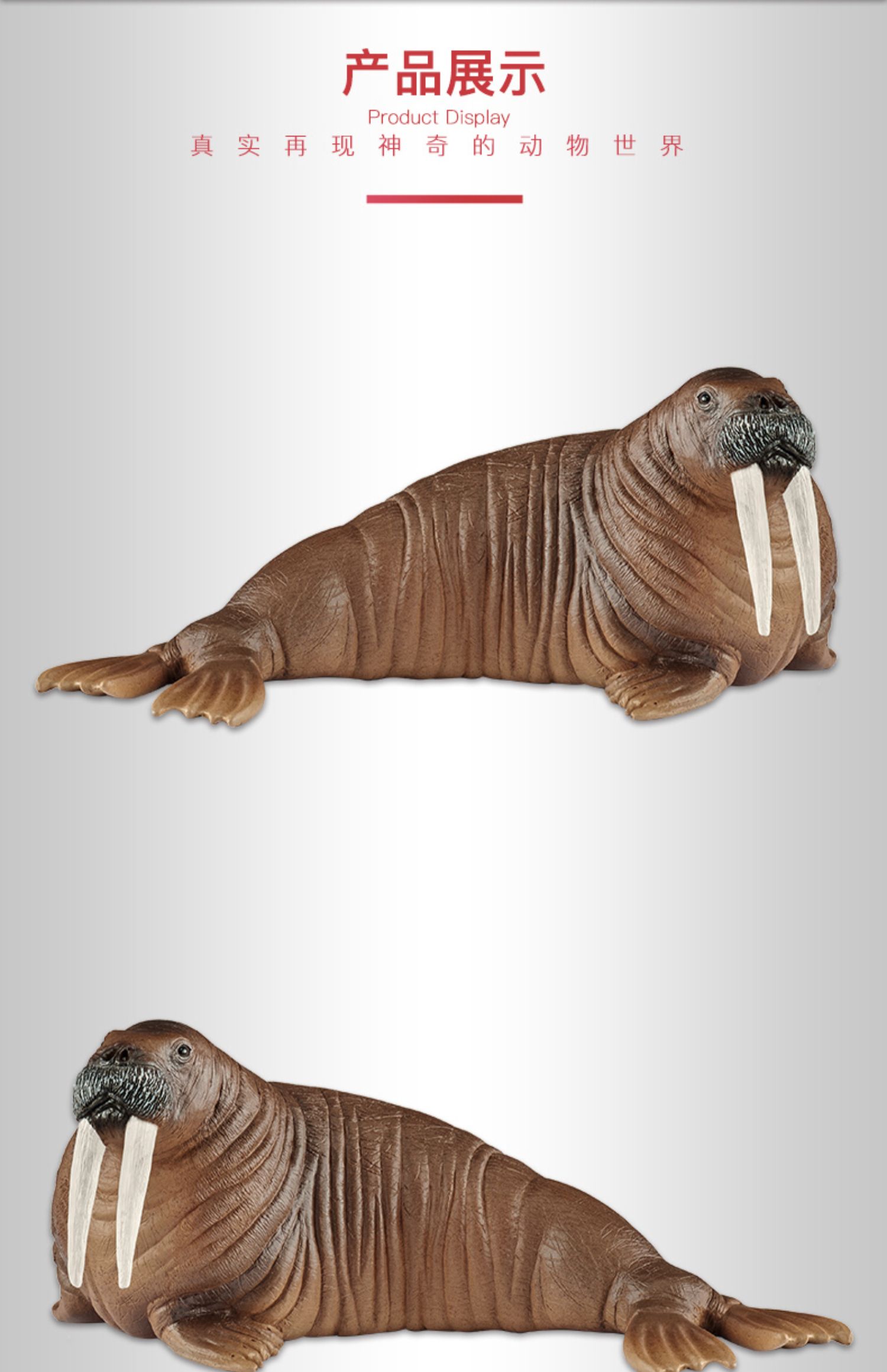 Sile schleich walrus 14804 sinh vật biển mô phỏng động vật hoang dã búp bê cậu bé món quà nhỏ - Đồ chơi gia đình đồ chơi trí tuệ
