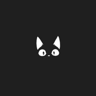 猫的随波逐流