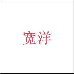 宽洋通信专营店
