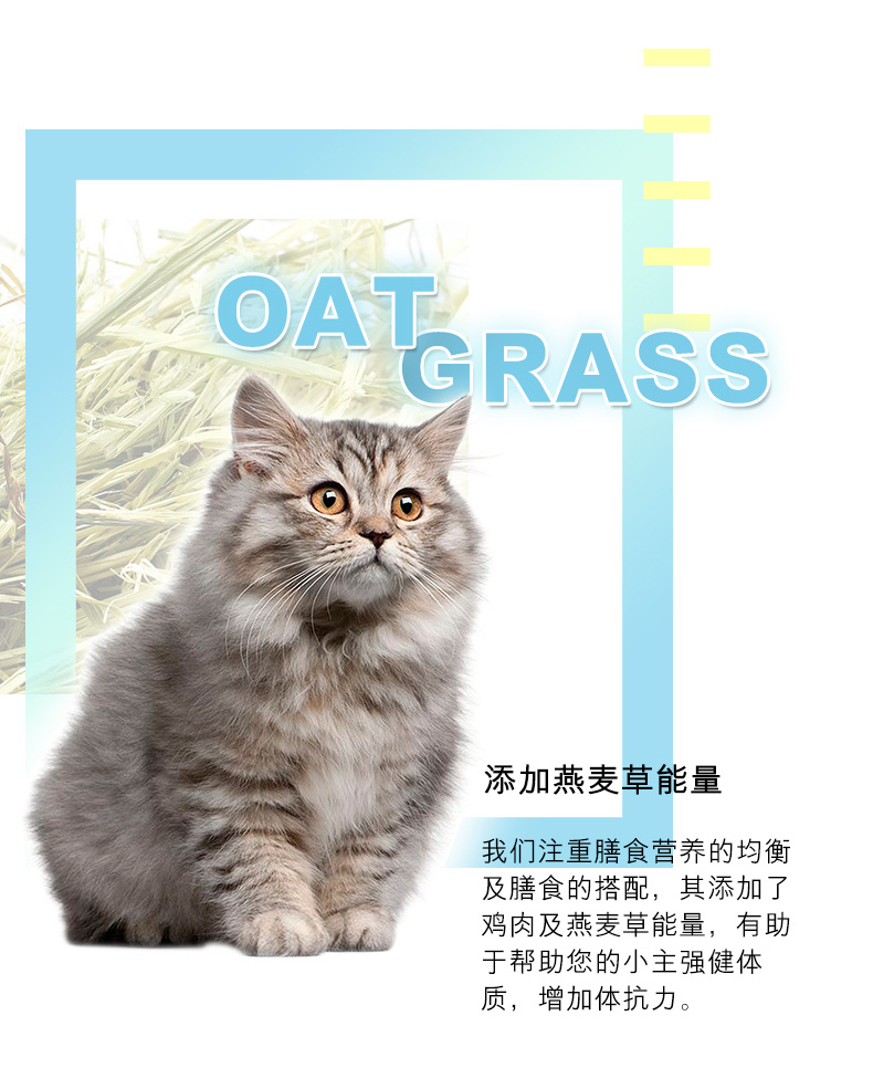 TEB! 汤 恩贝 Gà S2 + truffle đen năng lượng dinh dưỡng nước sốt mèo 90g nhập khẩu ướt hạt mèo lỏng - Đồ ăn nhẹ cho mèo thức ăn cho mèo con