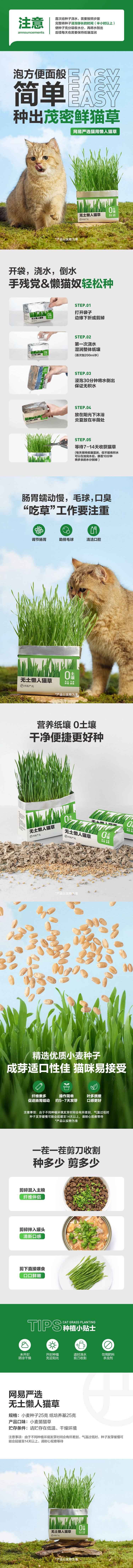 网易严选 懒人无土猫草盆栽*3包 天猫优惠券折后¥16.9包邮(¥18.9-2)