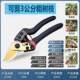 ນຳເຂົ້າ SK5 steel pruning scissors branch shears fruit branch flower shears fruit tree scissors ສວນເຮັດສວນ ມີດຕັດ ສາຂາຫນາ shears