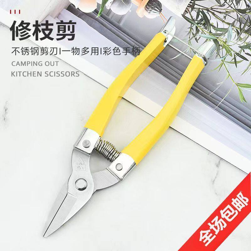 震惊!修枝蔬果剪A级罗定果剪到底有多绝?黄小黄稀果剪居然能当神器?💥-园艺刀剪-淘宝好物网