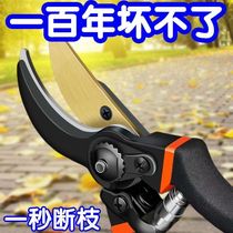 (Artisanat allemand) Arbre de coupe en acier cisaillant arbres fruitiers Couleurs de coupe Prunes Scissors Accueil Fleur de bois Grapes de bois Pruning Pick Powerful Axe