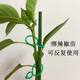 ການເຮັດສວນ 8-shaped buckle multi-functional fixed clip planting vine fixed clip plant climbing vine binding support tie tool