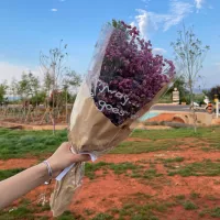 Красный