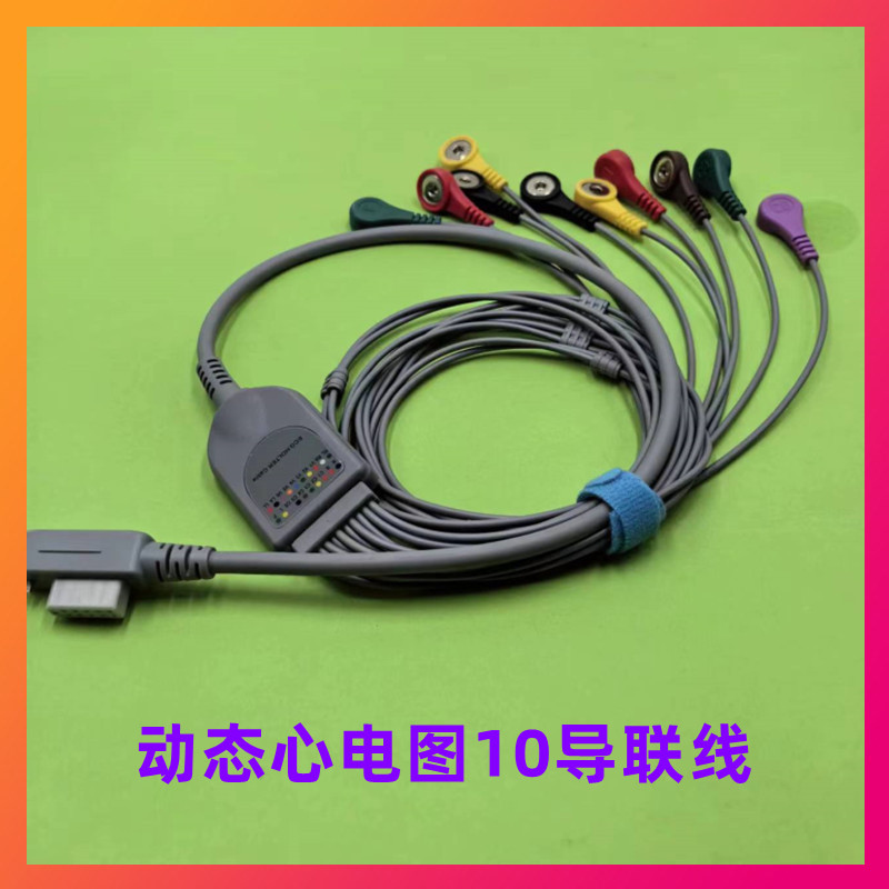 适用北京世纪金科康泰TLC6000动态心电导联线 10导心电图机线11针