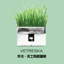 vetreska uncarded cat grass soilless planting organic natural mint pet snacks hair removal ball