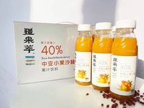 Central Asia Mall Frues Sea Buckthorn Juice Pind 300ML