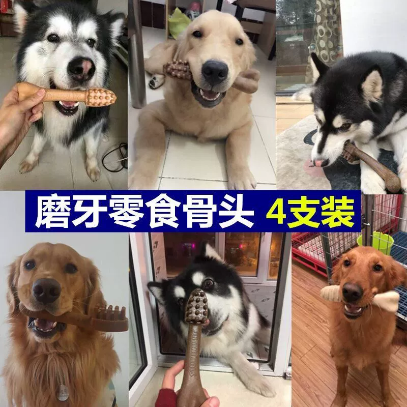 Yahejie xương răng chó tha mồi vàng chó con chó mol que husky nhỏ lớn chó xương cắn chó ăn vặt - Đồ ăn vặt cho chó