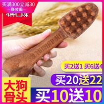 In addition to bad breath teeth bones golden retriever large dogs dogs teeth molars Teddy dogs chewing gum dog snacks